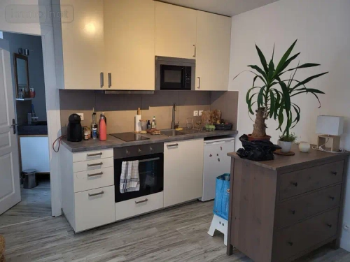Image d'un location appartement roscoff 29680 finistère - 1 pièce  20 m2  à 290 euros à 290€ à roscoff (29680)
