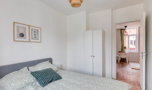 Image d'un t2  à lille à louer - locagestion, expert en gestion locative à 690€ à lille (59000)