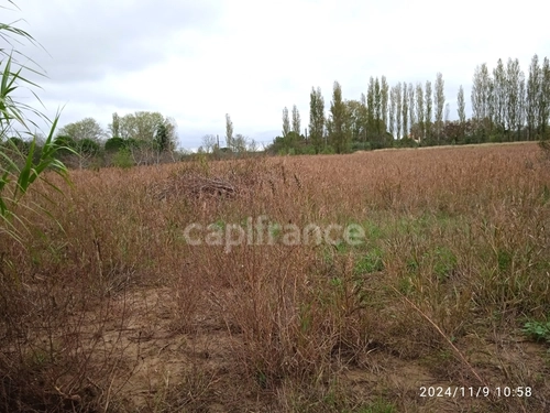 Image d'un terrain agricole à bâtir de 6 250,00 m² à 109500€ à narbonne (11100)