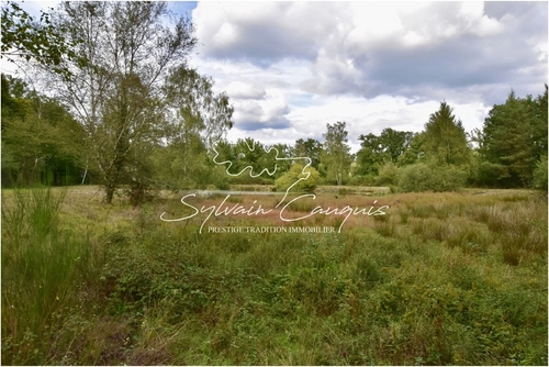 Image d'un propriété de chasse et d'agrément de 80 hectares en sologne à 1050000€ à sainte-montaine (18700)