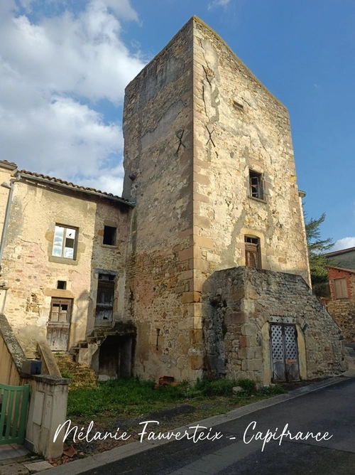 Image d'un à vendre : ensemble immobilier atypique au cur de sauvagnat sainte marthe à 87000€ à sauvagnat-sainte-marthe (63500)