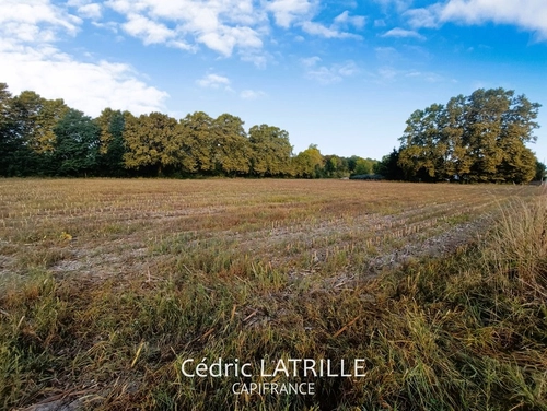 Image d'un dpt hautes pyrénées (65), à vendre tostat terrain à 30000€ à tostat (65140)