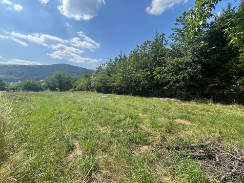 Image d'un terrain nu à 55000€ à oberbronn (67110)