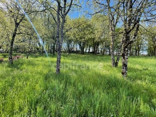 Image d'un terrain à vendre martel (46) à 54900€ à martel (46600)