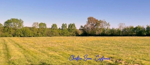 Image d'un terrain à vendre garderes (65) à 88800€ à tarasteix (65320)